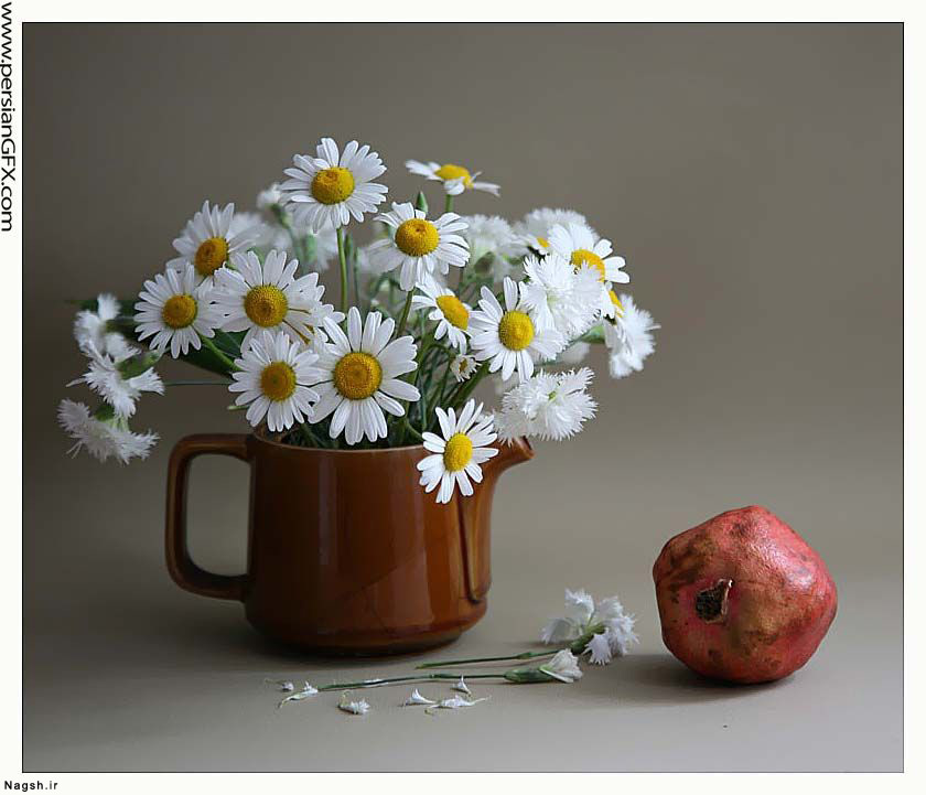 گلدانی از لاله های داوودی سفید